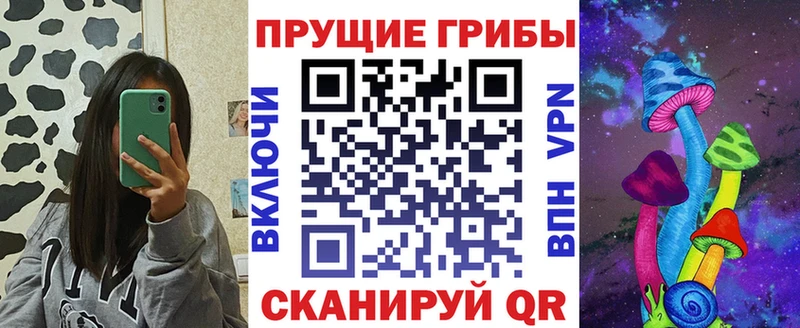 Галлюциногенные грибы мицелий  нарко площадка как зайти  Брянск 